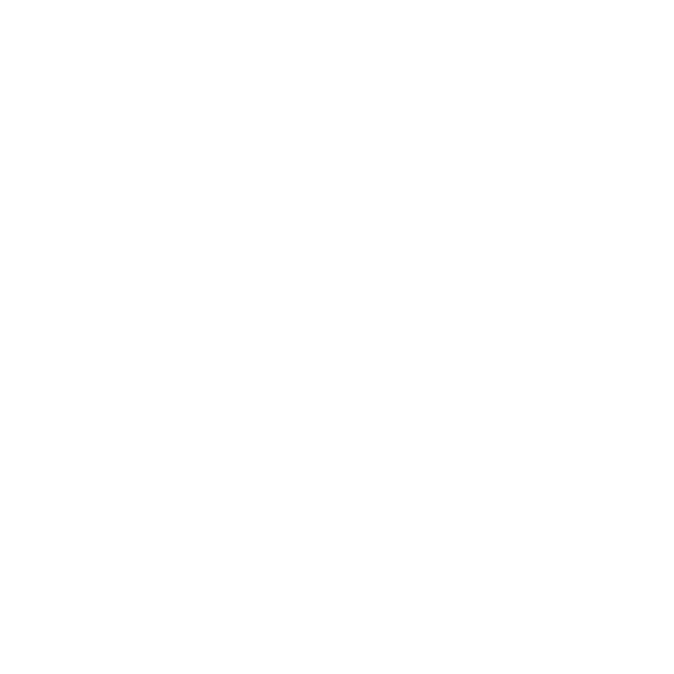Plato y zapato
